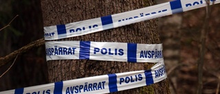 20-åring misshandlad i sitt hem