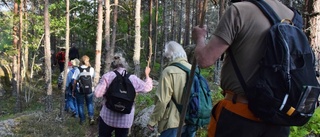 En faunrik gökafton vid Hycklinge arkipelagen