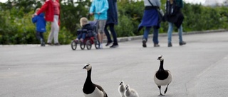 Vi sparar inte på välfärden