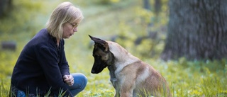 Så kan din hund bli en svampfinnare