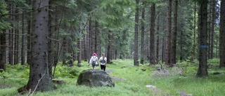 Unikt samarbete för skogen