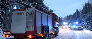 Väjde för vilt – hamnade i skogen