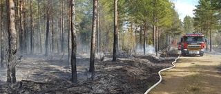 BLÅLJUS: Räddningstjänsten larmad på skogsbrand