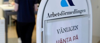 Arbetsförmedlare anmäld för jäv