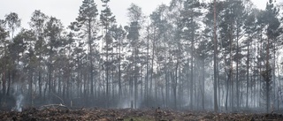 Så ska skogsbränder förebyggas i länet