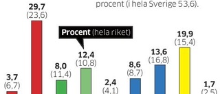 Så här röstade östgötarna i valet