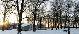 Det här vill ni ha i Stadsparken