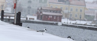 Fortsatt mer snö att vänta