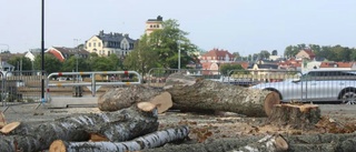 Här faller slottsruinens träd