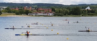 Veteranen avslutade med medalj på SM