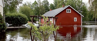 Tar helhetsgrepp om Emån