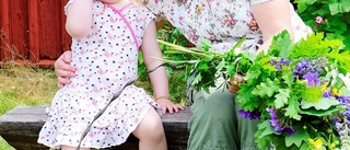 Traditionsenligt midsommarfirandet i Lönneberga