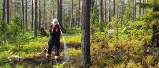 Åskoväder startade bränder