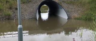 Gångtunnel blev vattenväg