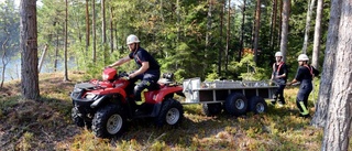 Skogsbrand mindre än befarat