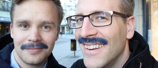 Maxad insamling till Movember