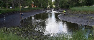 Hotet: Gamla dammen kan försvinna