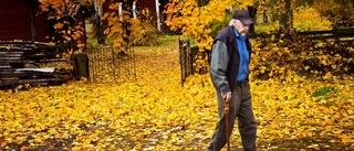 "Man ska verka så länge man lever"