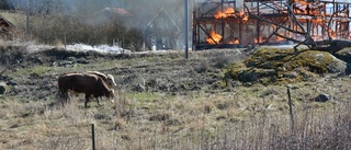 Storbrand i Segersgärde – tre byggnader brann ned till grunden