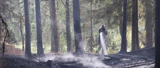 Grannarnas hjälteinsats räddade skogen