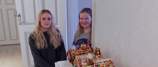 Friskola bjuder in till julmarknad