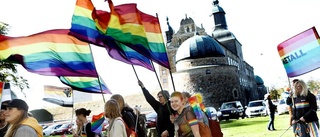 Hur mycket kostade Pride i Vadstena?