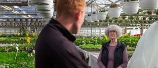 Företaget som blomstrat i 75 år – levererat till tre kungliga bröllop 