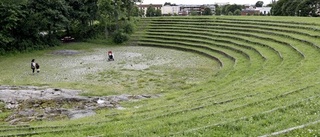 Nu ska parken blomstra på nytt