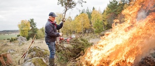 Höströjning återskapar Linnés beteshage