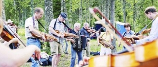 Spelmansjammande i buskarna i Vendel