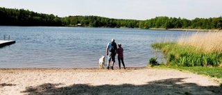 Ännu ett bad algdrabbat