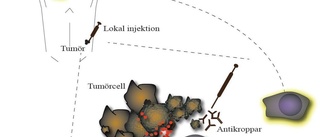 Akademiska testar "cancervaccin"