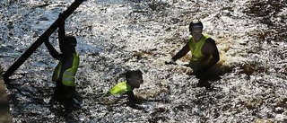 Årensning inför forsränningen