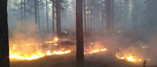 Frivilliga hjälper till att släcka i Jokkmokk