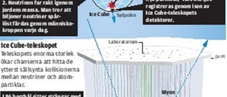 Neutriner i isteleskop årets genombrott