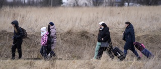 Säkerhetsrådet i möte om den humanitära krisen