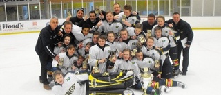 Wings U14-lag tog storseger