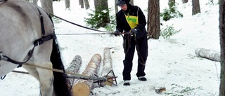 Samarbetet med hästen avgör