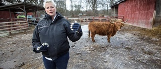 Liten kunskap om brott på landsbygden