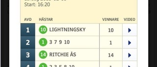 Norrbottnisk glädje i Solvalla