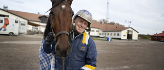 Ingen häst i Elitloppet för Tarzan: "Inte jag som bestämmer"