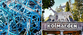 Kolmården stänger attraktion – efter dödsolyckan på Gröna Lund