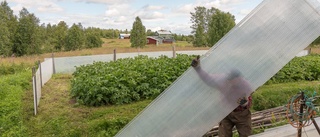 Foton som utforskar Tornedalen