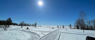 Läsarbilden: Gassande sol      