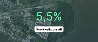 Så gick det för Snackwellgross AB – årsredovisningen är här