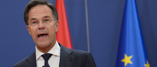 Nederländernas Rutte lämnar politiken