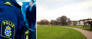 Misstänkta för våldtäkter i parken släpptes på fri fot