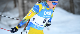 Inga svenska medaljer under sista VM-dagen