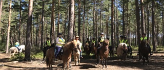 Från norr till söder på hästryggen – Sörmland på tur