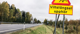 Bygge av viltstängsel kan leda till trafikstörningar